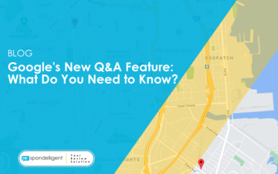 Google’s New Q&A Feature: What Do You Need to Know?