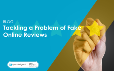 Tackling a Problem of Fake Online Reviews